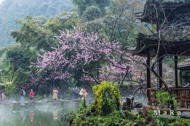 超数码宝贝4.0